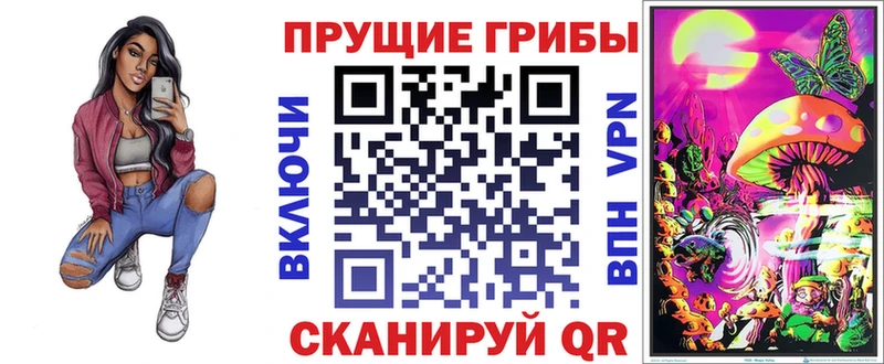 Купить закладки  Менделеевск  Псилоцибиновые грибы мицелий 